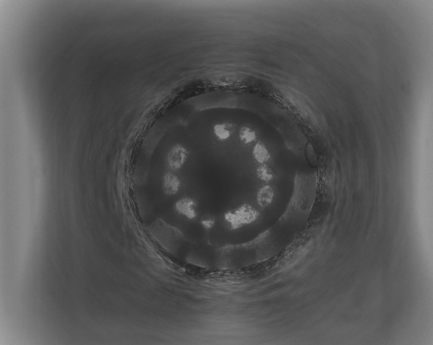X0000111120817200906301309