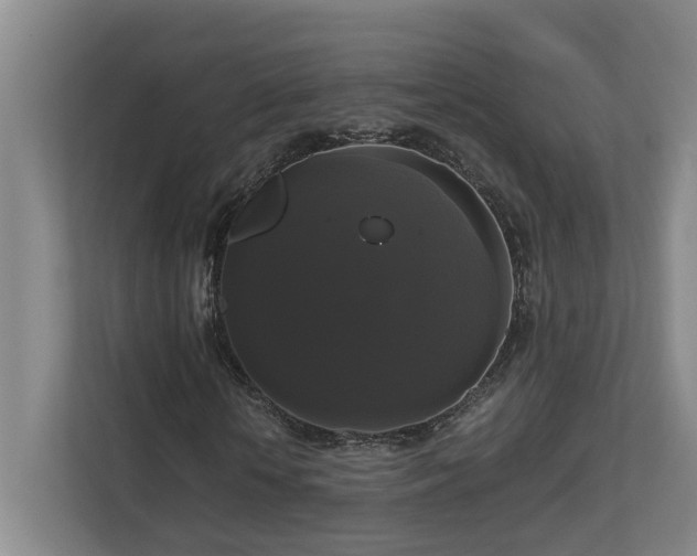 X0000111120818200906301309
