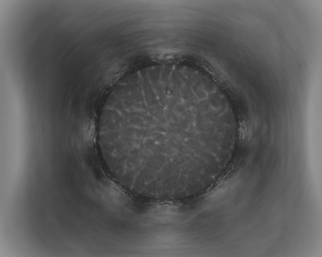X0000111120820200906301309