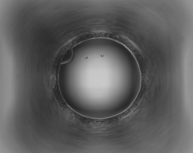 X0000111120821200906301309