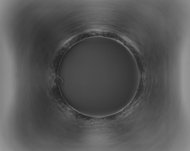 X0000111120822200906301309