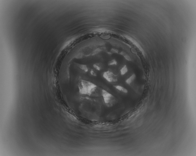X0000111120823200906301309