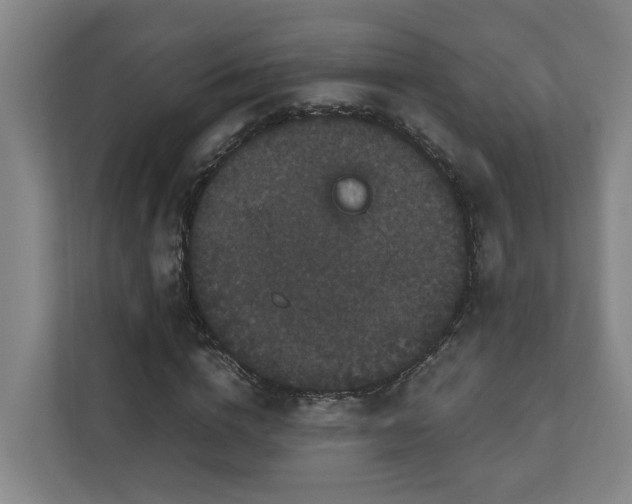 X0000111120824200906301309