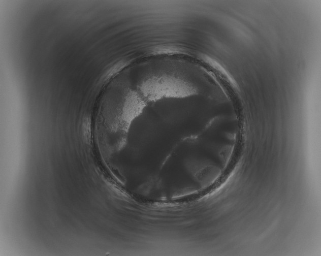 X0000111120825200906301309