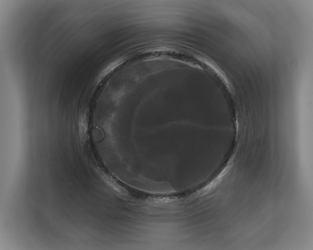 X0000111120826200906301309