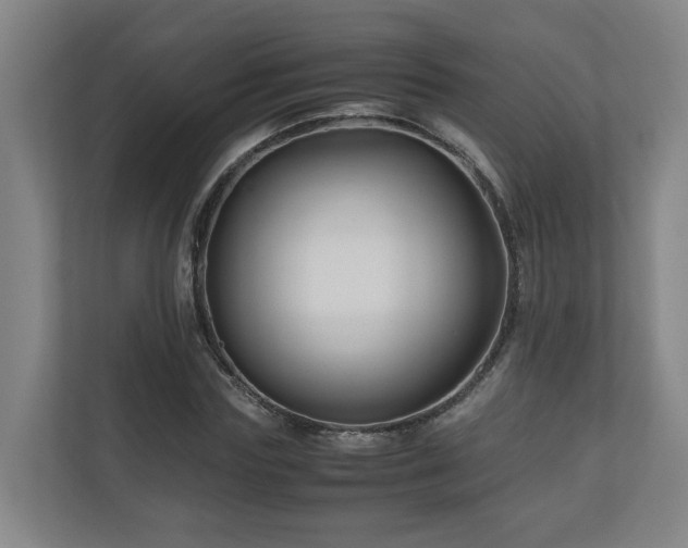 X0000111120827200906301309