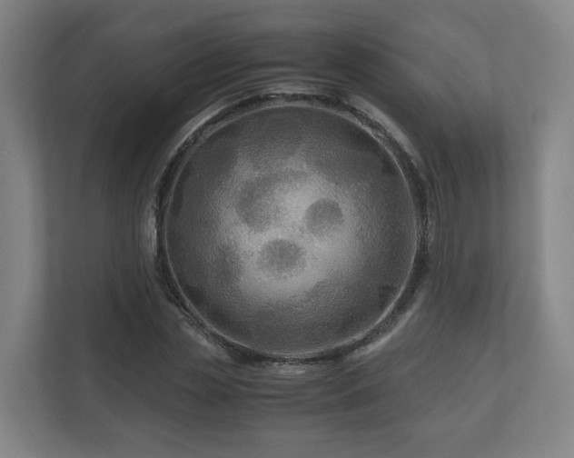 X0000111120829200906301309