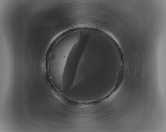 X0000111120830200906301309