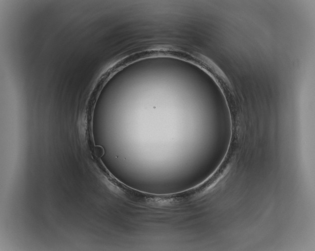 X0000111120831200906301309