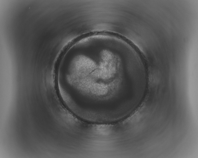 X0000111120832200906301309