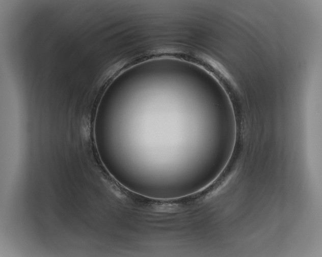 X0000111120833200906301309