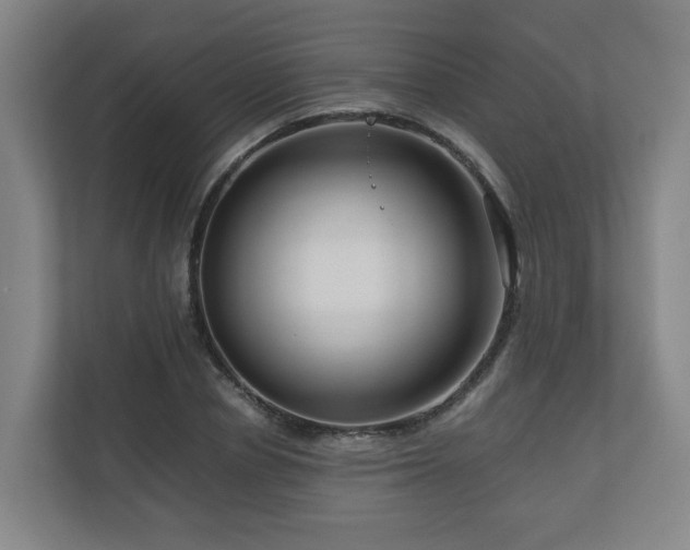 X0000111120834200906301309