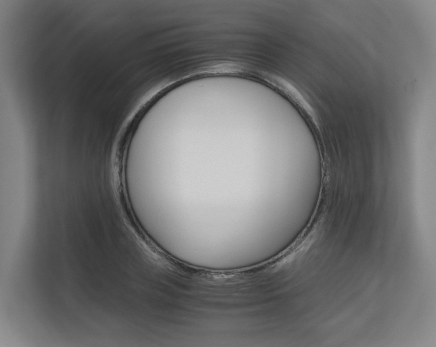 X0000111120835200906301309