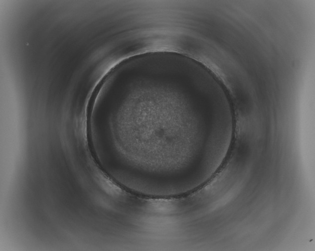 X0000111120836200906301309