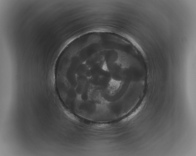 X0000111120837200906301309