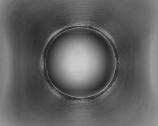X0000111120838200906301309