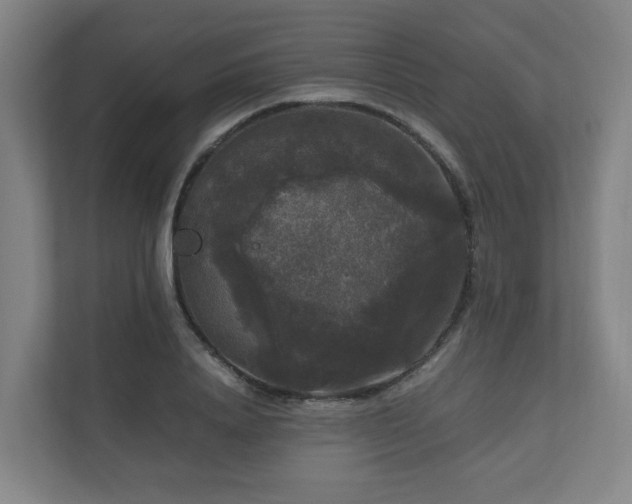 X0000111120840200906301309