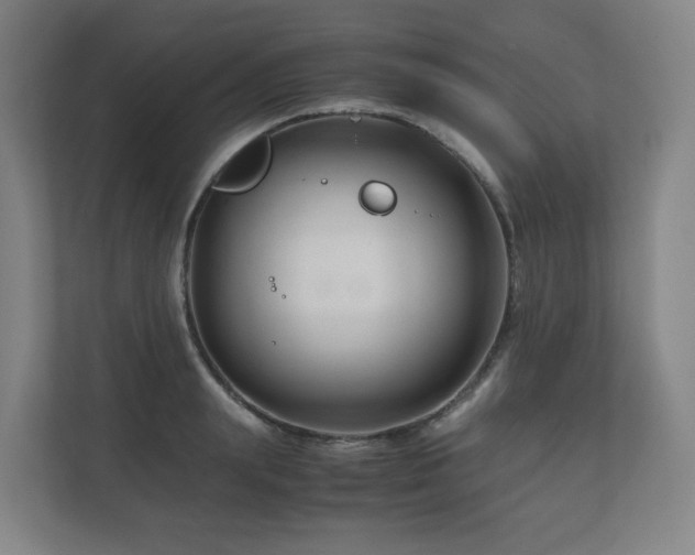 X0000111120847200906301309