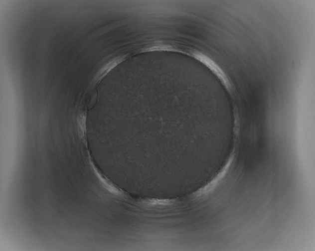 X0000111120849200906301309