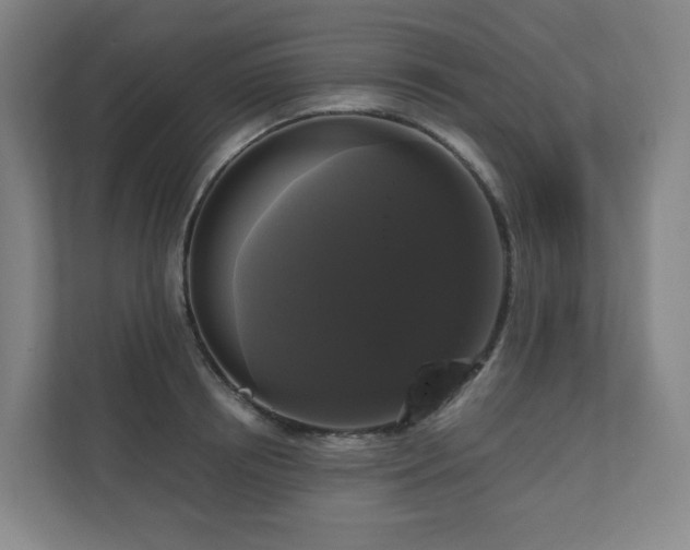 X0000111120850200906301309