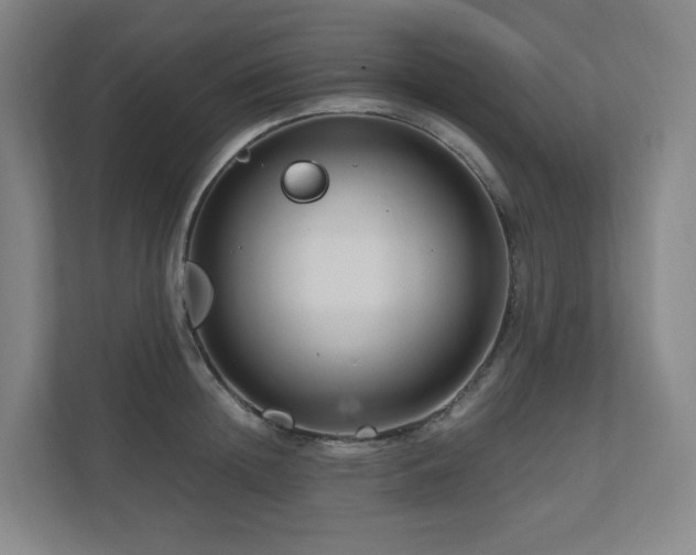 X0000111120852200906301309