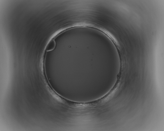 X0000111120854200906301309
