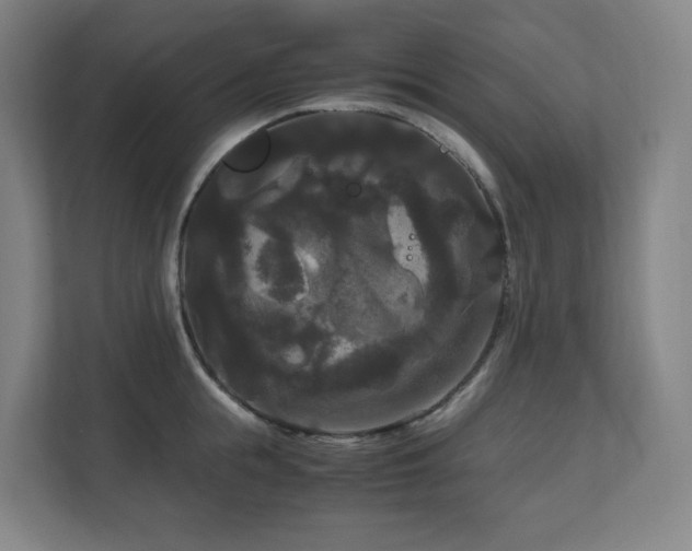 X0000111120855200906301309