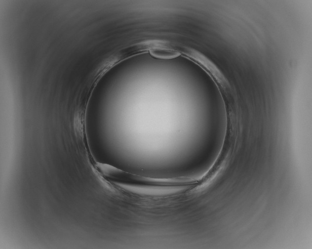 X0000111120857200906301309