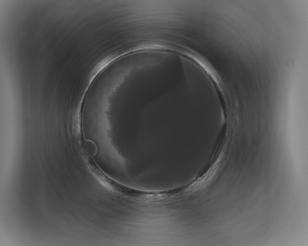 X0000111120858200906301309