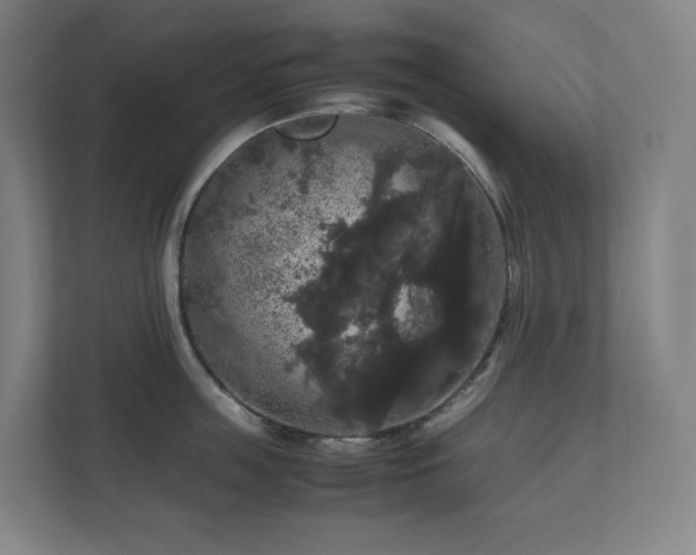 X0000111120859200906301309