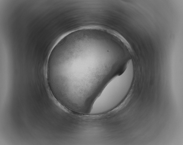 X0000111120860200906301309