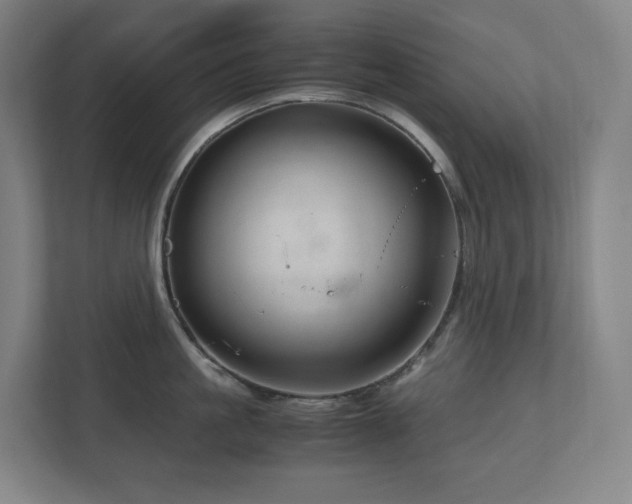 X0000111120861200906301309