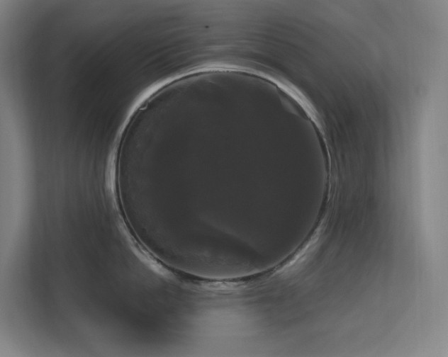 X0000111120862200906301309