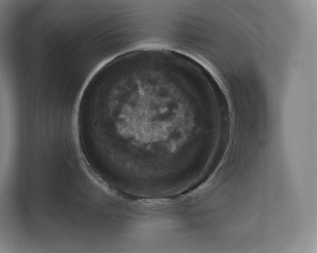 X0000111120864200906301309
