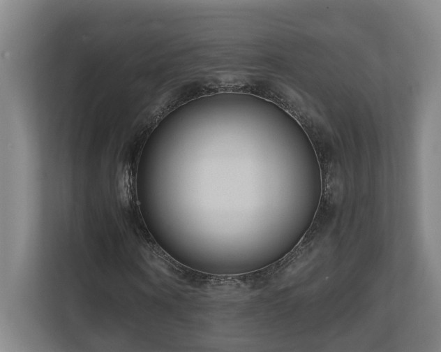 X0000111120866200906301309