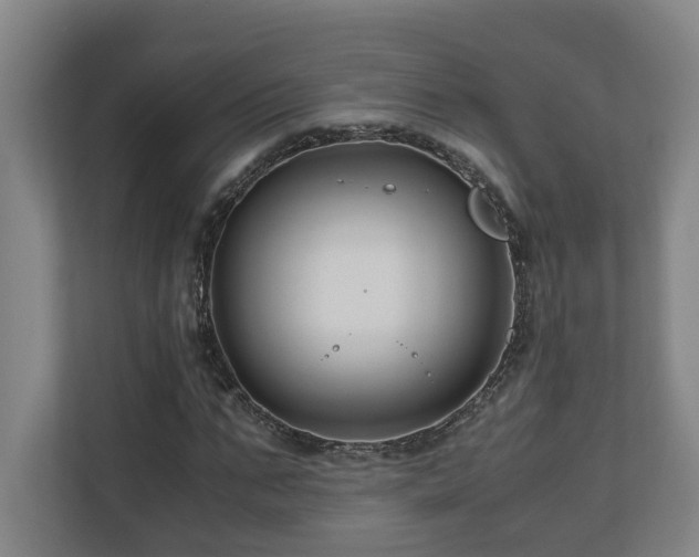 X0000111120871200906301308