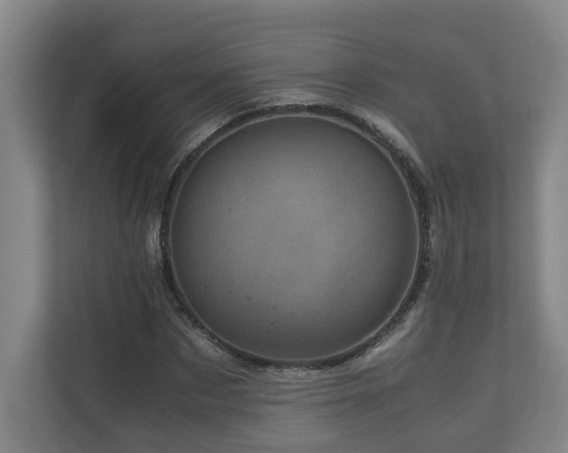 X0000111120873200906301308