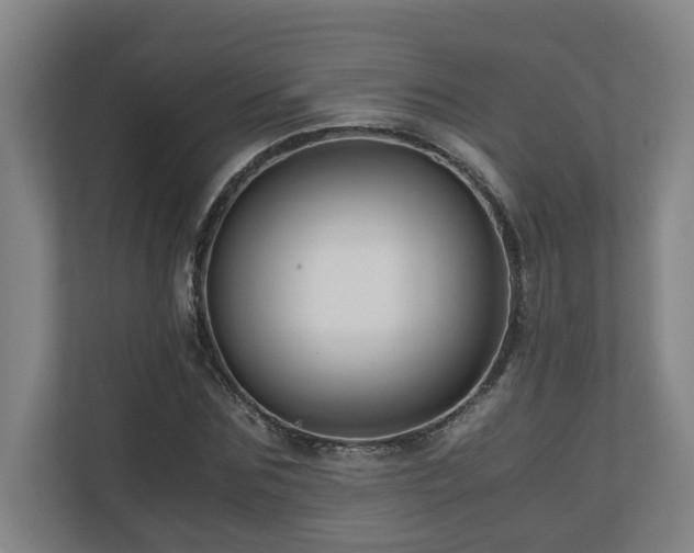 X0000111120875200906301308