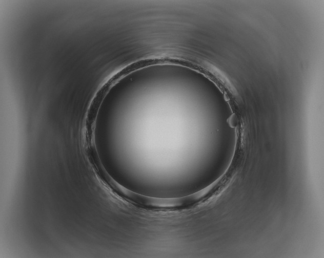 X0000111120876200906301308