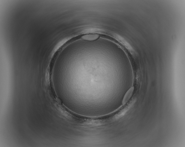 X0000111120877200906301308