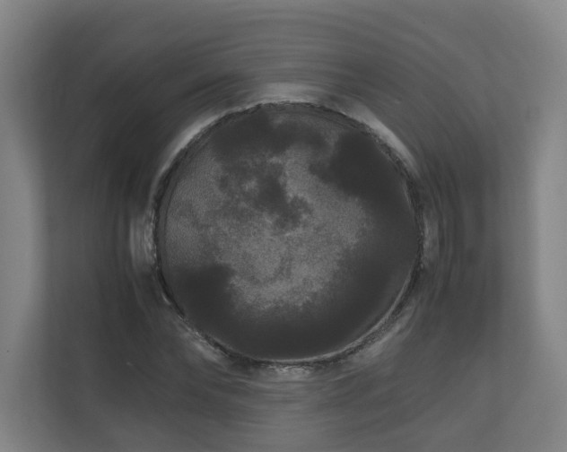 X0000111120878200906301308