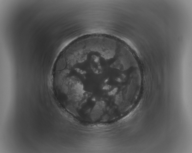 X0000111120879200906301308