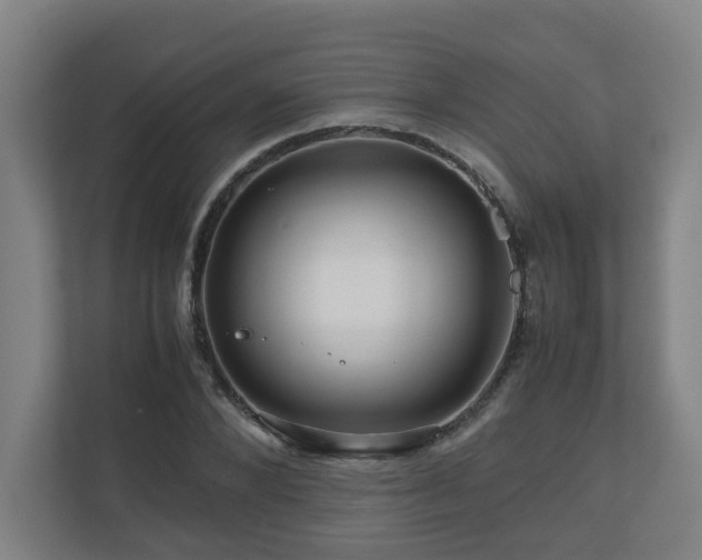 X0000111120880200906301308