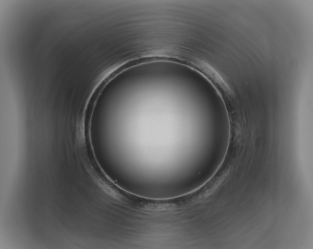 X0000111120884200906301308