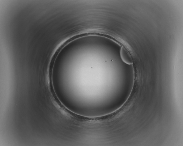 X0000111120888200906301308