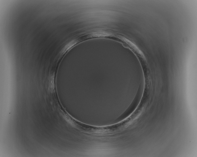 X0000111120889200906301308