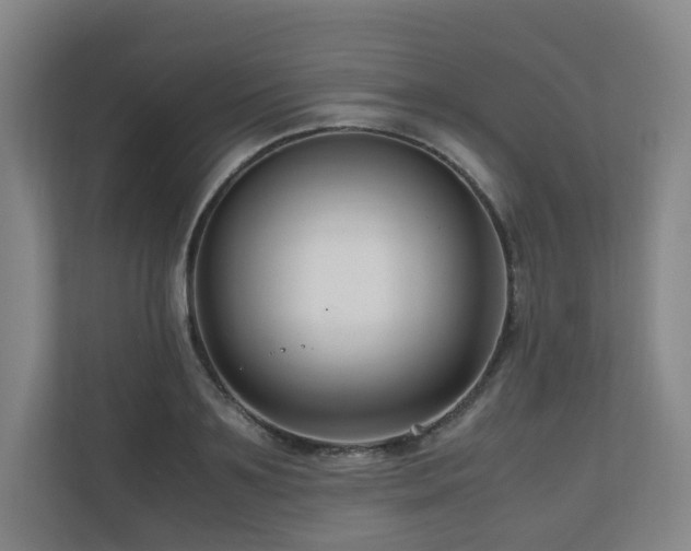 X0000111120891200906301308