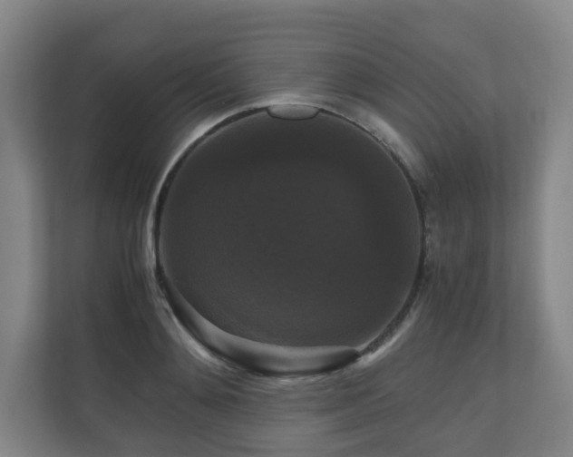X0000111120892200906301308