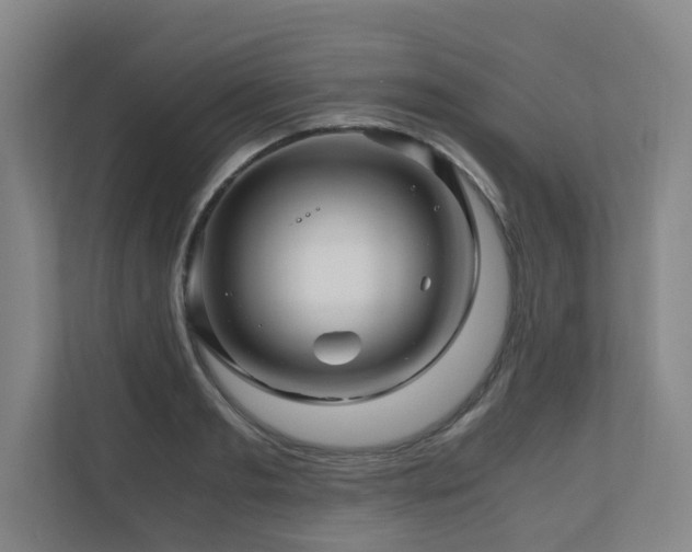 X0000111120893200906301308