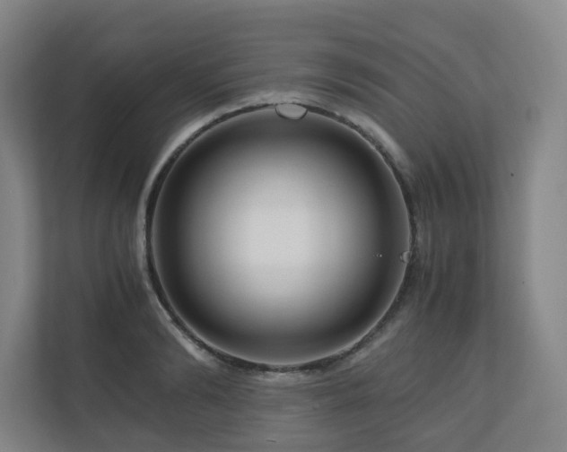 X0000111120894200906301308